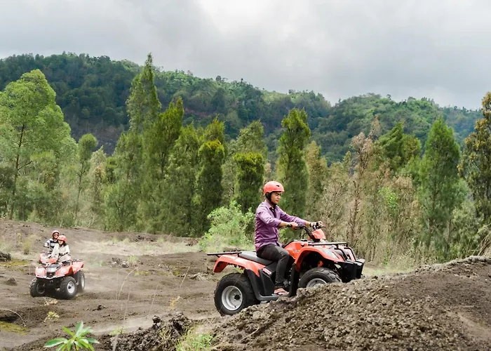 Latengaya Mount Batur View Bed & Breakfast 3*