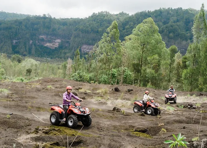 Latengaya Mount Batur View Bed & Breakfast